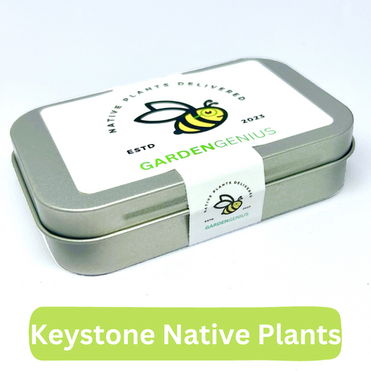 GardenGenius™ Keystone Wildflower Seed Tin – Native Wildflower Mix for Ecoregion 8