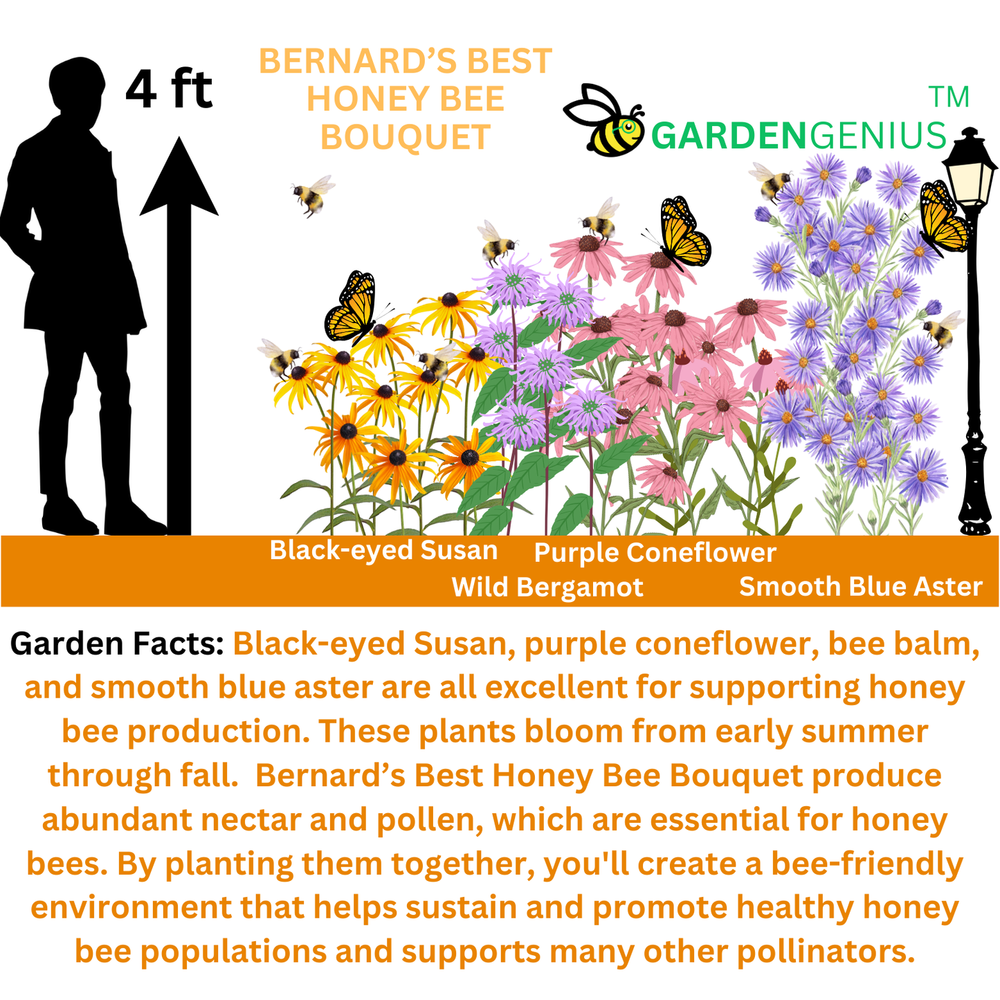 Bernard's Best Honeybee Bouquet SEEDPILLOW™ Native Wildflower Garden Kit