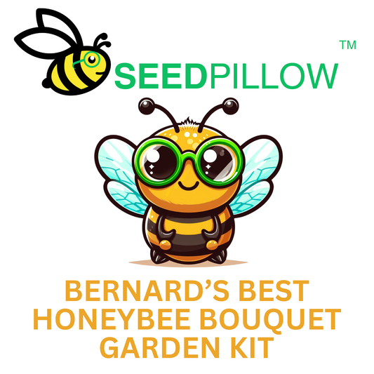 Packaging for Bernard's Best Honeybee Bouquet SEEDPILLOW Garden Kit featuring a cartoon bee character with green glasses, and the names of the included plants.