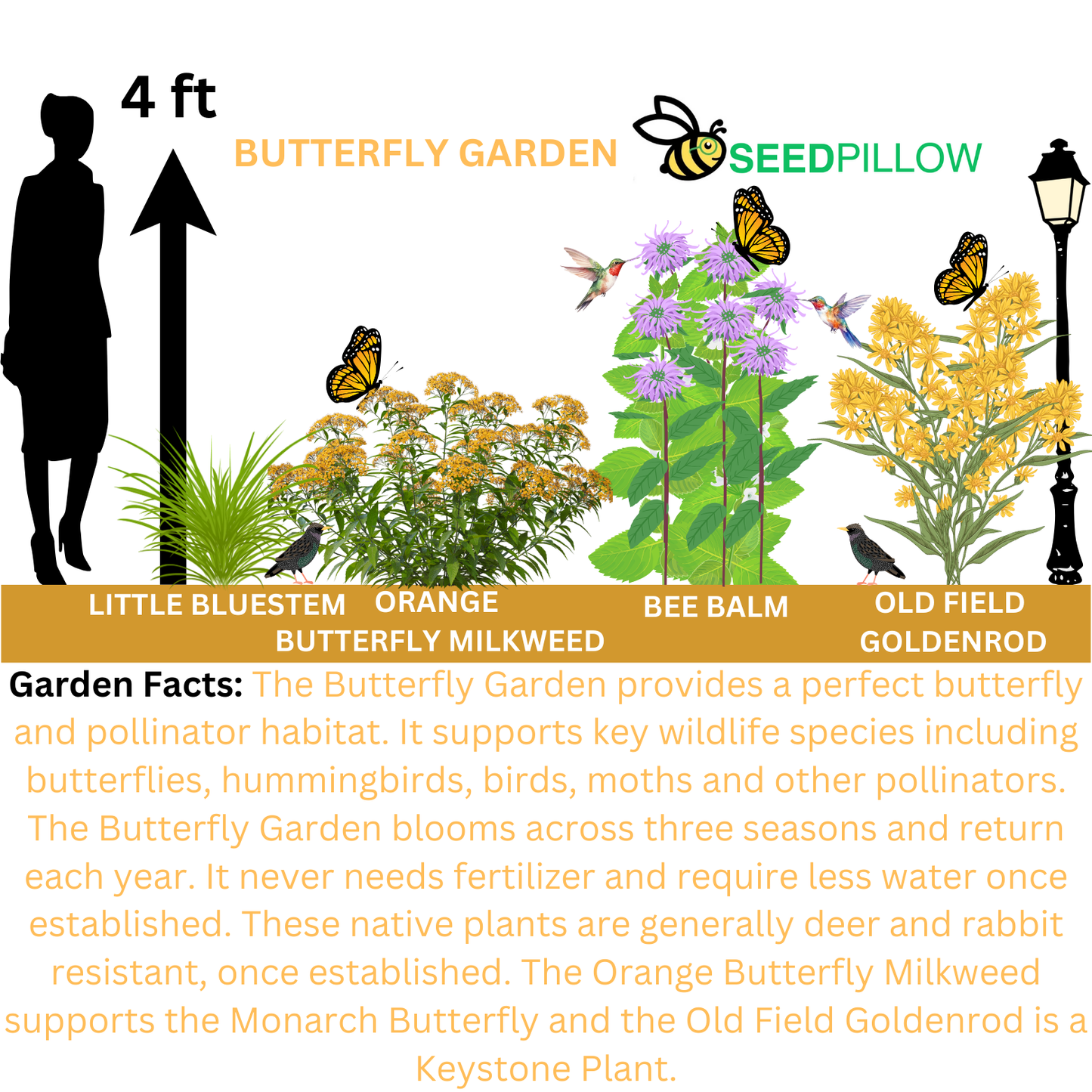 Butterfly SEEDPILLOW™ Native Wildflower Garden Kit