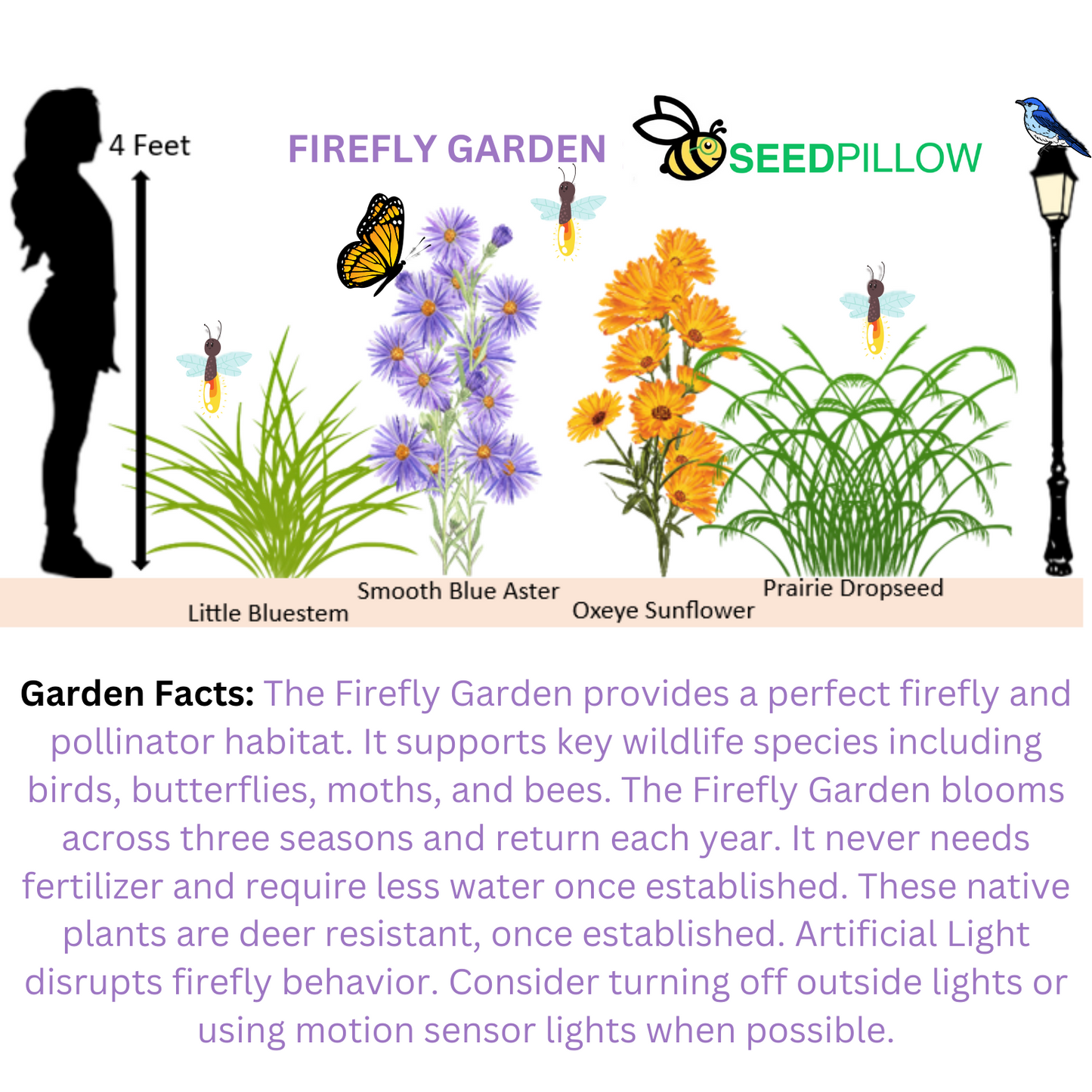 Firefly SEEDPILLOW™ Native Wildflower Garden Kit