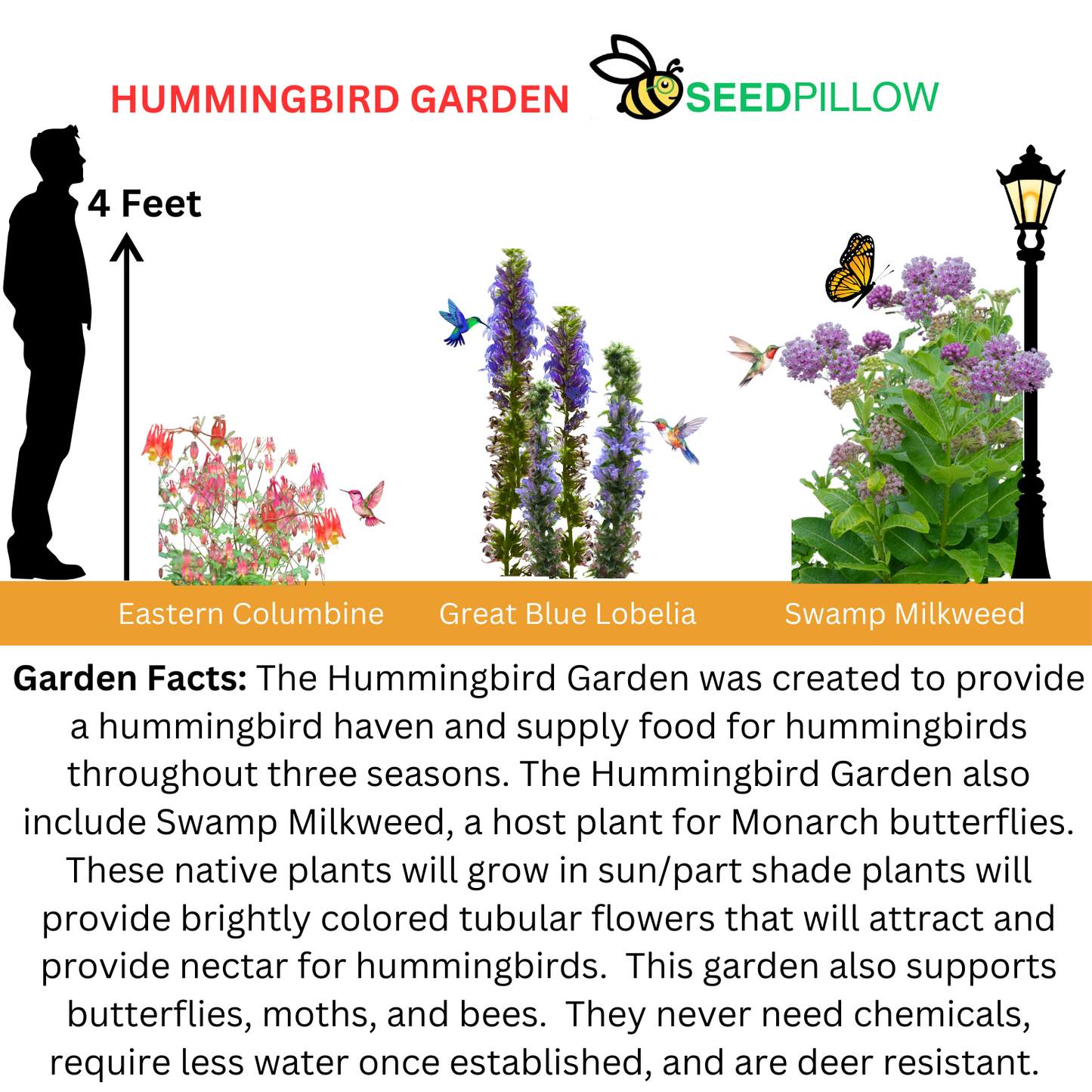 Hummingbird SEEDPILLOW™ Native Wildflower Garden Kit