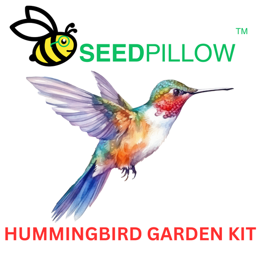 Promotional image featuring a colorful illustration of a hummingbird with the text 'SEEDPILLOW' and 'HUMMINGBIRD GARDEN KIT' indicating a kit designed to attract hummingbirds.