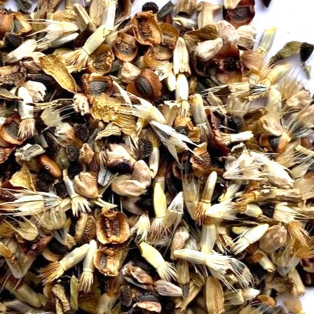 1/4 Acre Native Wildflower & Native Grasses Seed Mix
