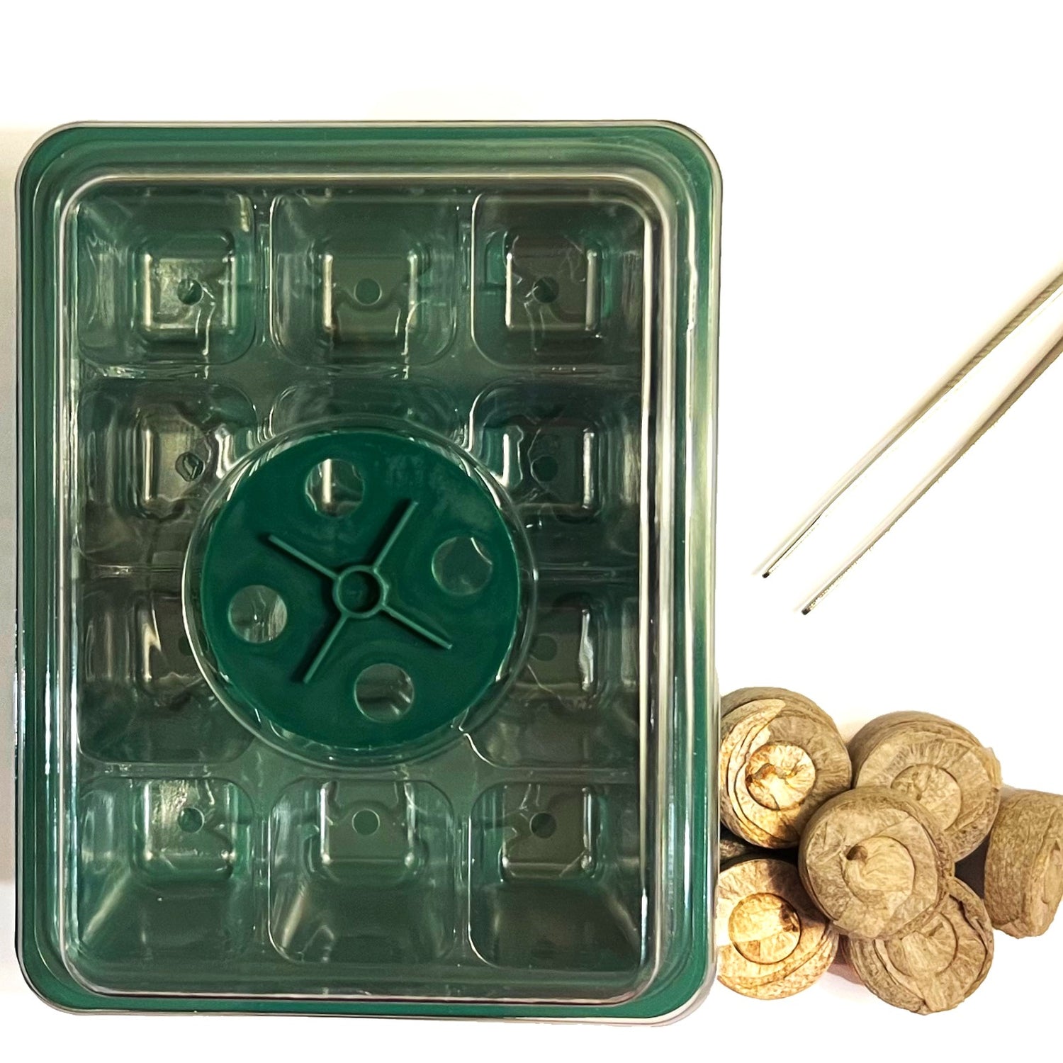 GardenGenius™ Deluxe Native Wildflower Grow Kits – Easy Indoor-to-Outdoor Gardening