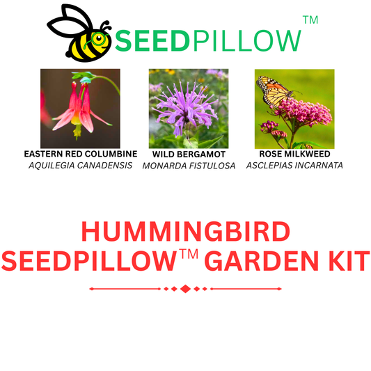 Hummingbird SEEDPILLOW™ Native Wildflower Garden Kit