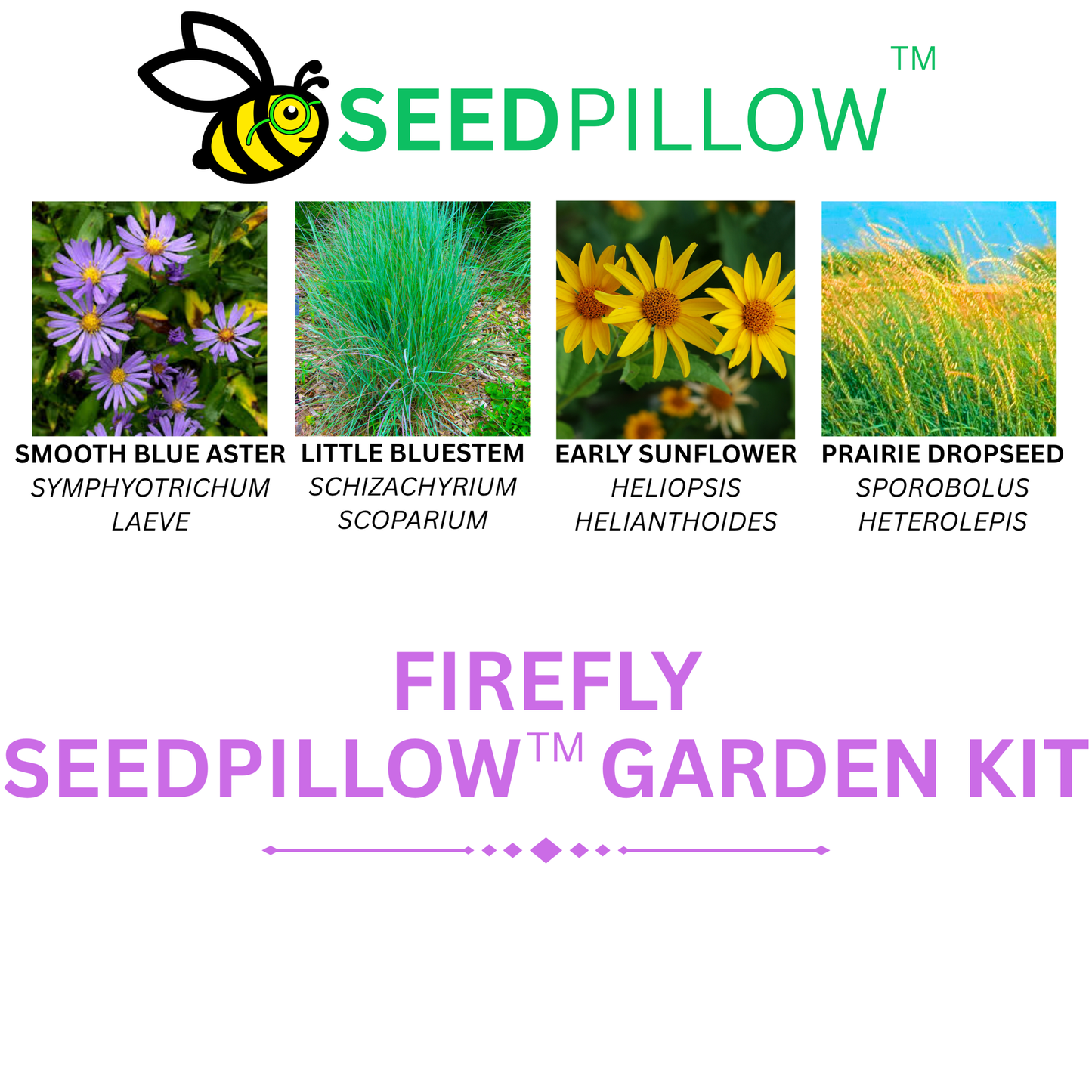 Firefly SEEDPILLOW™ Native Wildflower Garden Kit