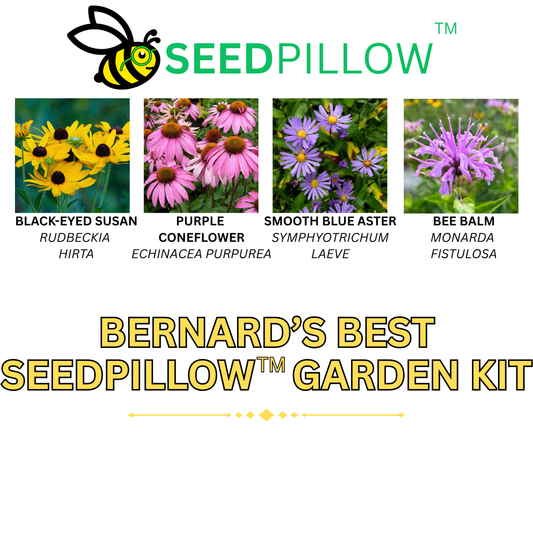 Bernard's Best Honeybee Bouquet SEEDPILLOW™ Native Wildflower Garden Kit