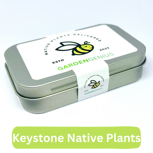 GardenGenius Keystone Wildflower Seed Tin