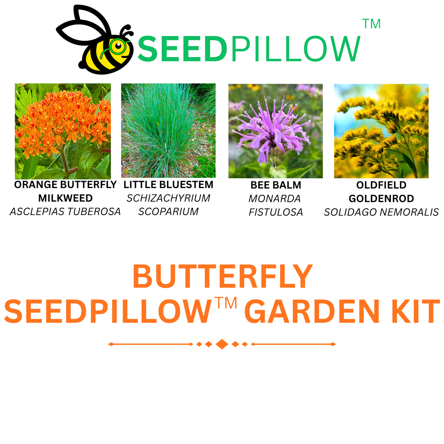 Butterfly SEEDPILLOW™ Native Wildflower Garden Kit