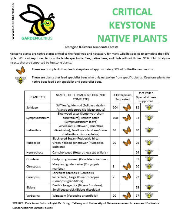 Keystone Native Plant List