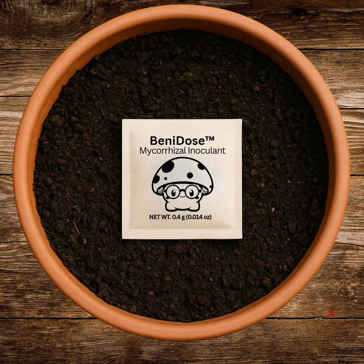 BeniDose dissolvable mycorrhizal packet placed in the plant root zone