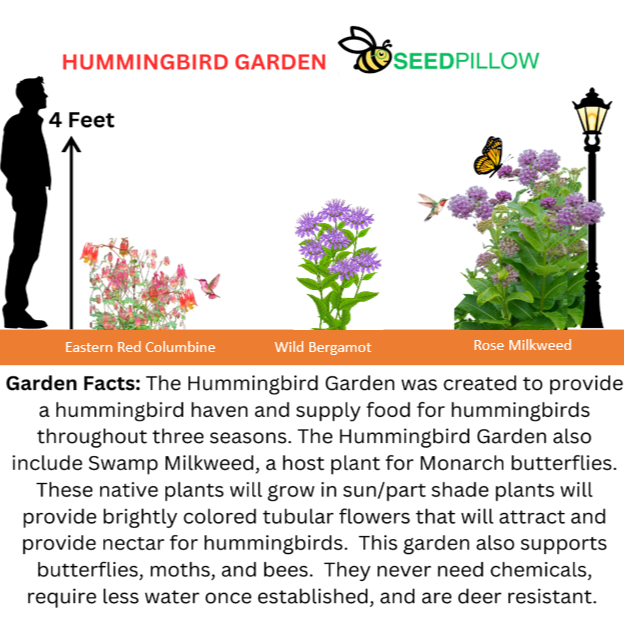 Hummingbird SEEDPILLOW™ Native Wildflower Garden Kit