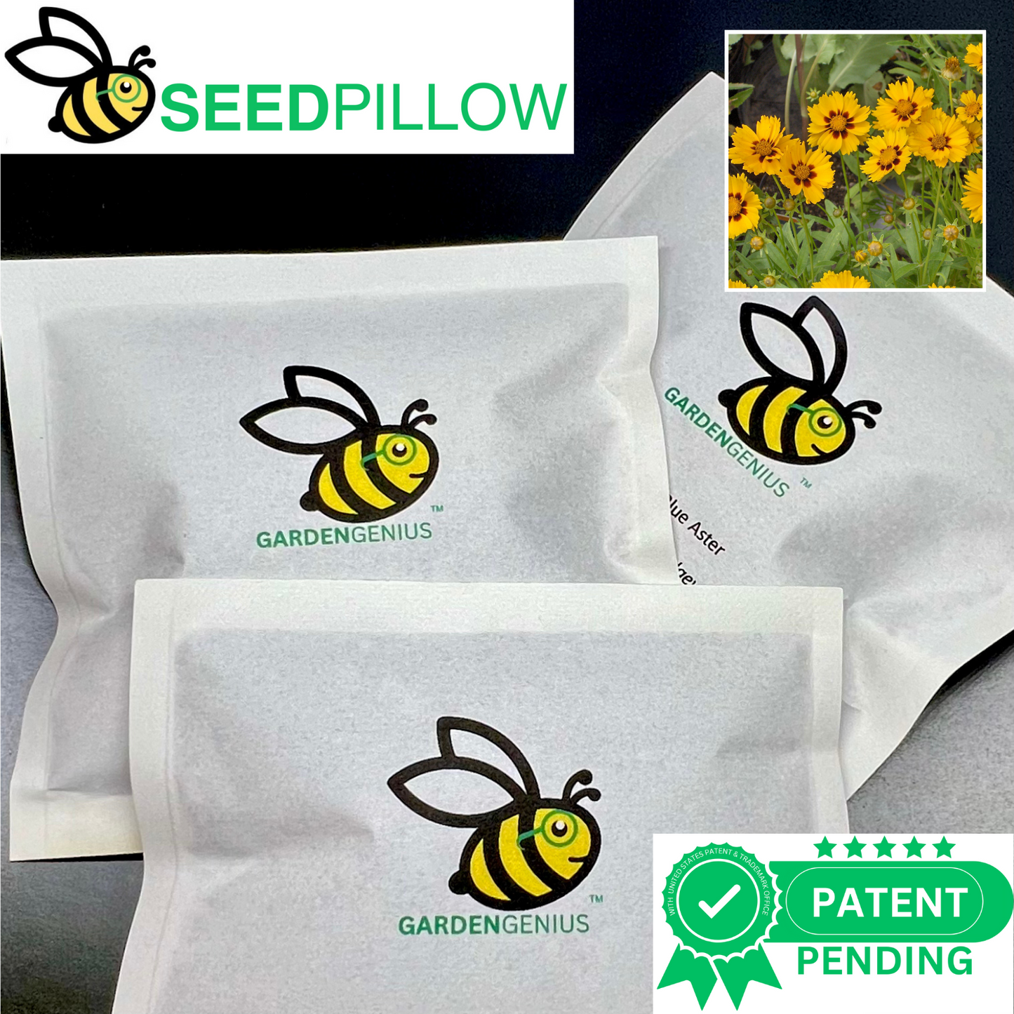 SeedPillow Lanceleaf Coreopsis