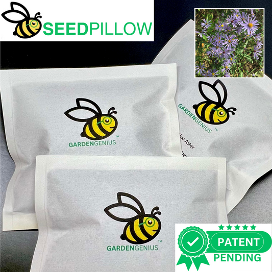 SeedPillow Smooth Blue Aster